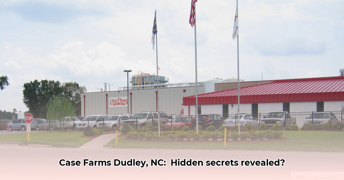 case-farms-in-dudley-north-carolina